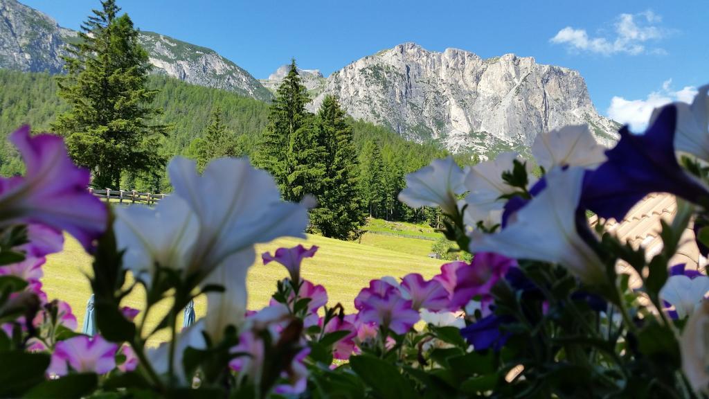 巴迪亚Chalet Alla Cascata公寓 外观 照片